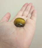Tiger's Eye - Freeform Polished (Size L)