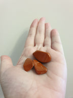 Red Jasper - Freeform Polished (Size S)