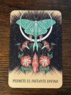 Oracle of Love - Predestined