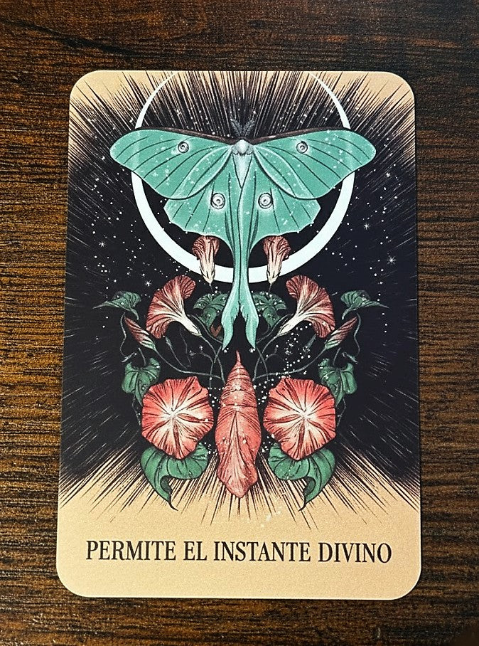 Oracle of Love - Predestined