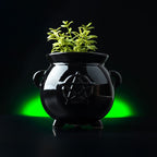 "Witch's Cauldron" Planter - Black Ceramic with Pentagram
