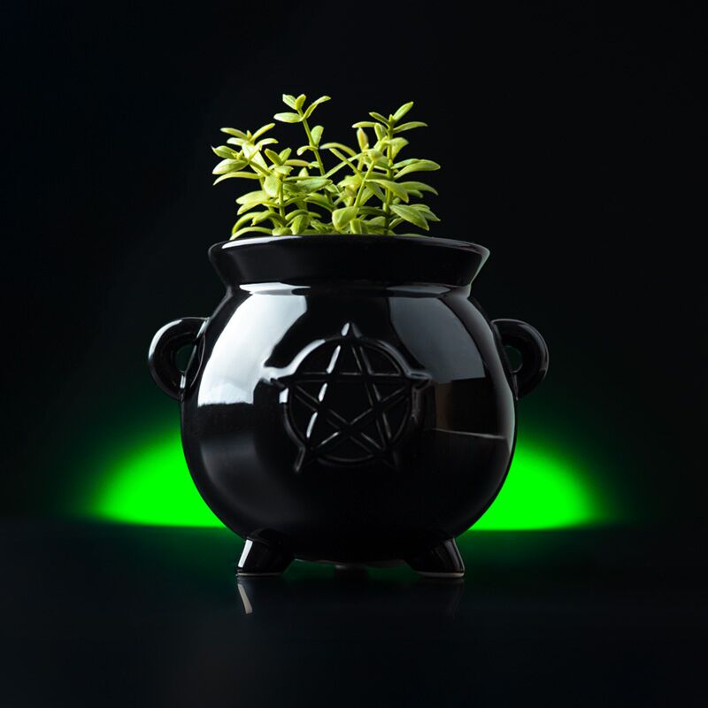 "Witch's Cauldron" Planter - Black Ceramic with Pentagram