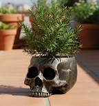 Macetero con forma de cráneo humano en resina blanca, decorado con plantas suculentas en un ambiente místico.