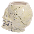 3D Skull Mug